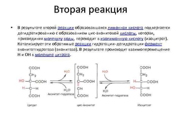 Sprut официальный сайт blacksprute com