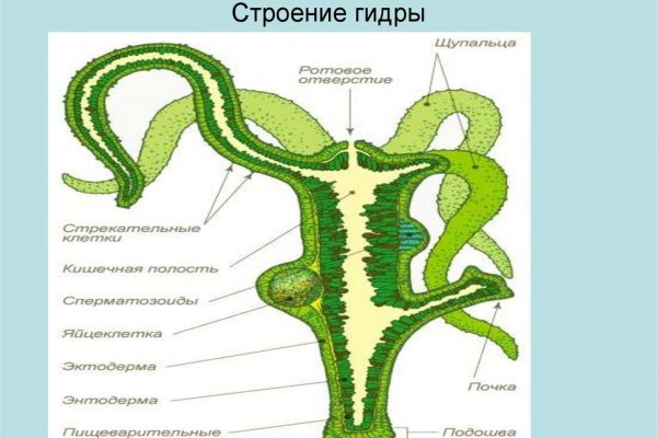 Черный спрут